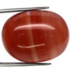 Bra Pris Mycket Vacker Orange med ränder Agat 42,22 carat Oval Cabochon Slipning Väldigt Fin Färg & Kvalitet från Botswana Afrika Köp Nu! (bild för) Bra Pris Mycket Vacker Orange med ränder Agat 42,22 carat Oval Cabochon Slipning Väldigt Fin Färg & Kvalitet från Botswana Afrika Köp Nu!