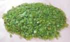 Bra Pris Mycket Stort Parti Pakistansk Oslipad Peridot 2700 carat Naturlig Kristall Fin Oliv Grön färg & Bra Kvalitet Köp Nu! (bild för) Bra Pris Mycket Stort Parti Pakistansk Oslipad Peridot 2700 carat Naturlig Kristall Fin Oliv Grön färg & Bra Kvalitet Köp Nu!