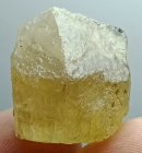 Bra Pris Specimen Mycket Vacker Gul Skapolit 56,60 carat Naturlig Terminerad Kristall Transparent från Afganistan Köp Nu! (bild för) Bra Pris Specimen Mycket Vacker Gul Skapolit 56,60 carat Naturlig Terminerad Kristall Transparent från Afganistan Köp Nu!