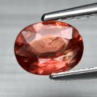 Bra Pris Obehandlad Sällsynt Padparadscha Safir 0,58 carat Oval Slipning Fin Lyster & Kvalitet från Tanga Tanzania Köp Nu! (bild för) Bra Pris Obehandlad Sällsynt Padparadscha Safir 0,58 carat Oval Slipning Fin Lyster & Kvalitet från Tanga Tanzania Köp Nu!